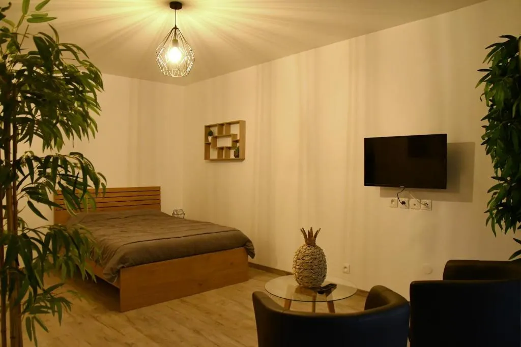 Appartement Tropical de Draveil, gîte avec spa à Draveil - photo 2 sur 12