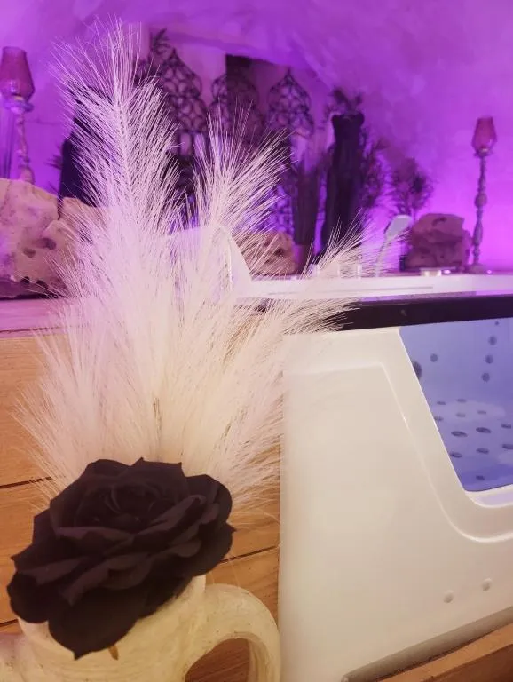 Atelier des Roses, gîte avec spa à Lunéville - photo 3 sur 10
