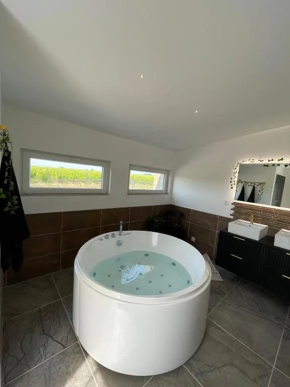 Bulles et Vignes, gîte avec spa à Mouzillon - photo 3 sur 12