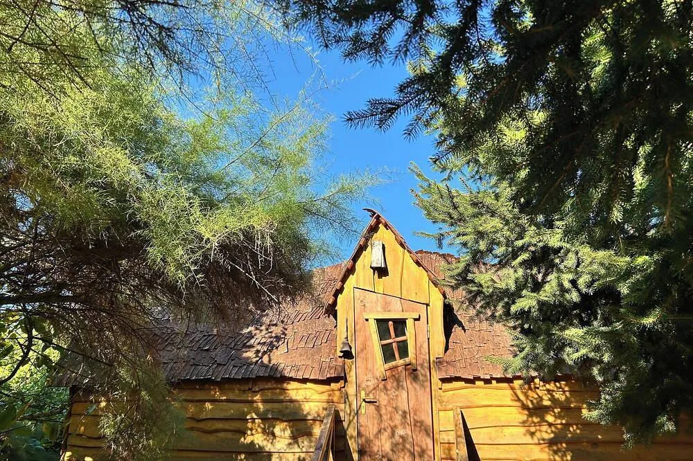Cabane des Fichettes - petite cabane et bain finlandais dans un parc boisé (Sandillon, Loiret)