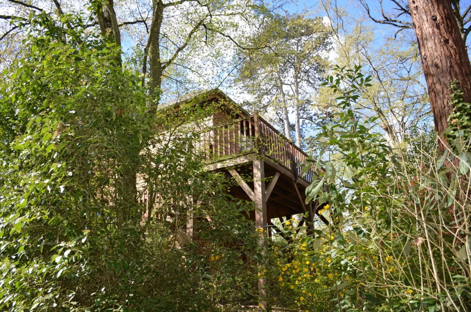 Cabane du Manoir du Parc & Spa privatif, cabane à Amboise - photo 3 sur 12