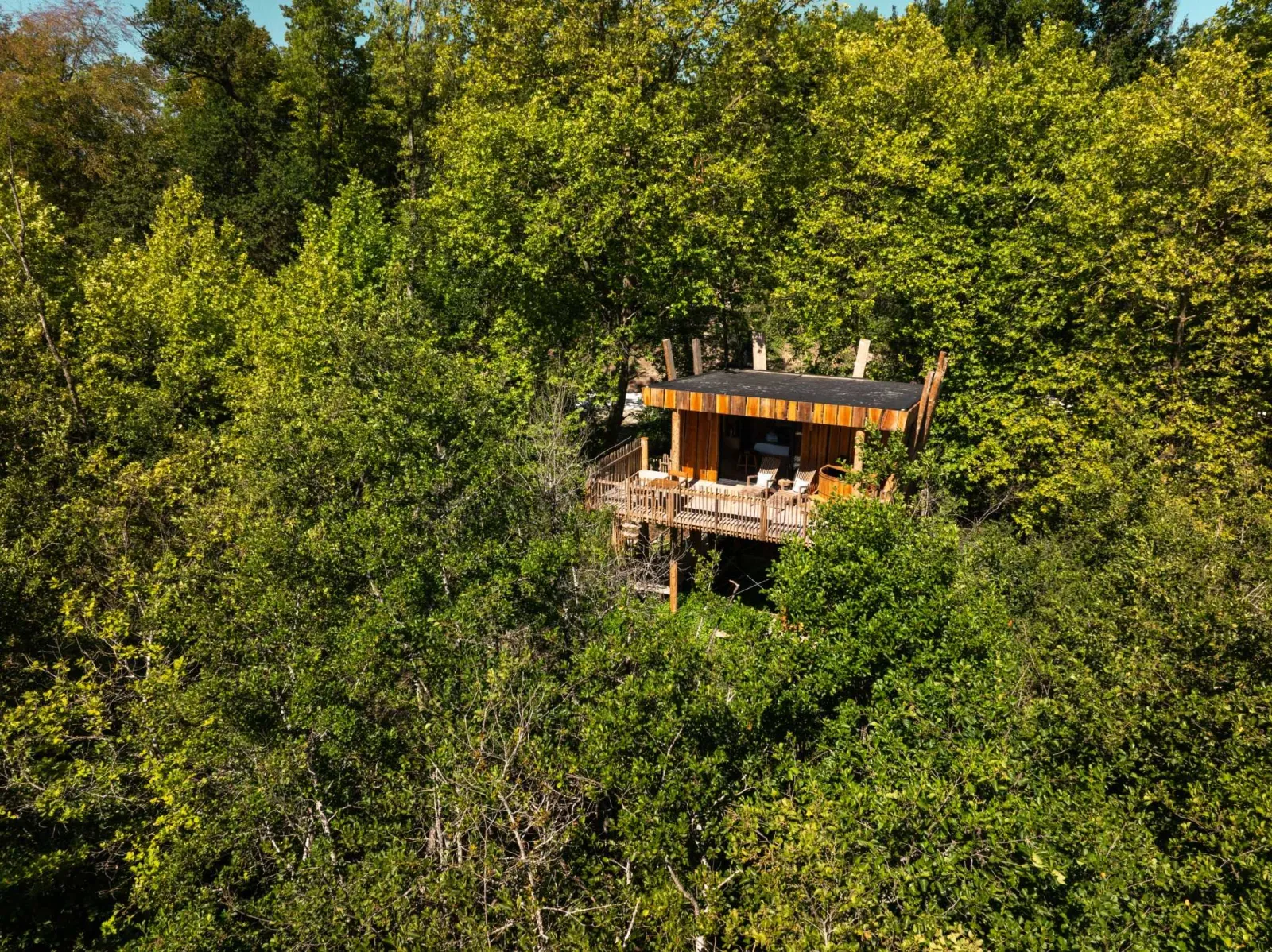 Cabane du Marais - Cabane perchée avec bain nordique au-dessus du marais (Moret-Loing-et-Orvanne, Seine-et-Marne)