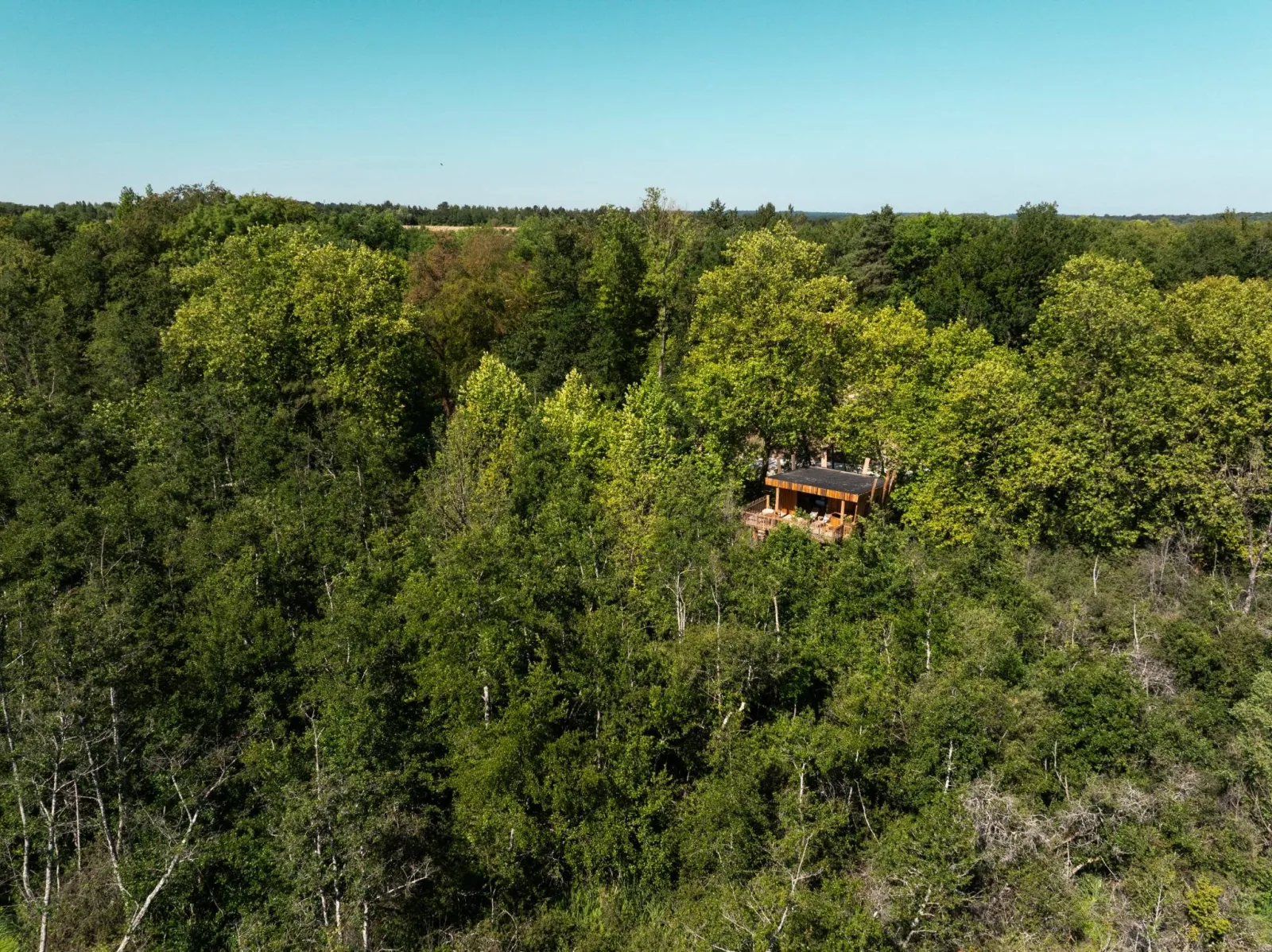 Cabane du Marais, cabane à Moret-Loing-et-Orvanne - photo 2 sur 12