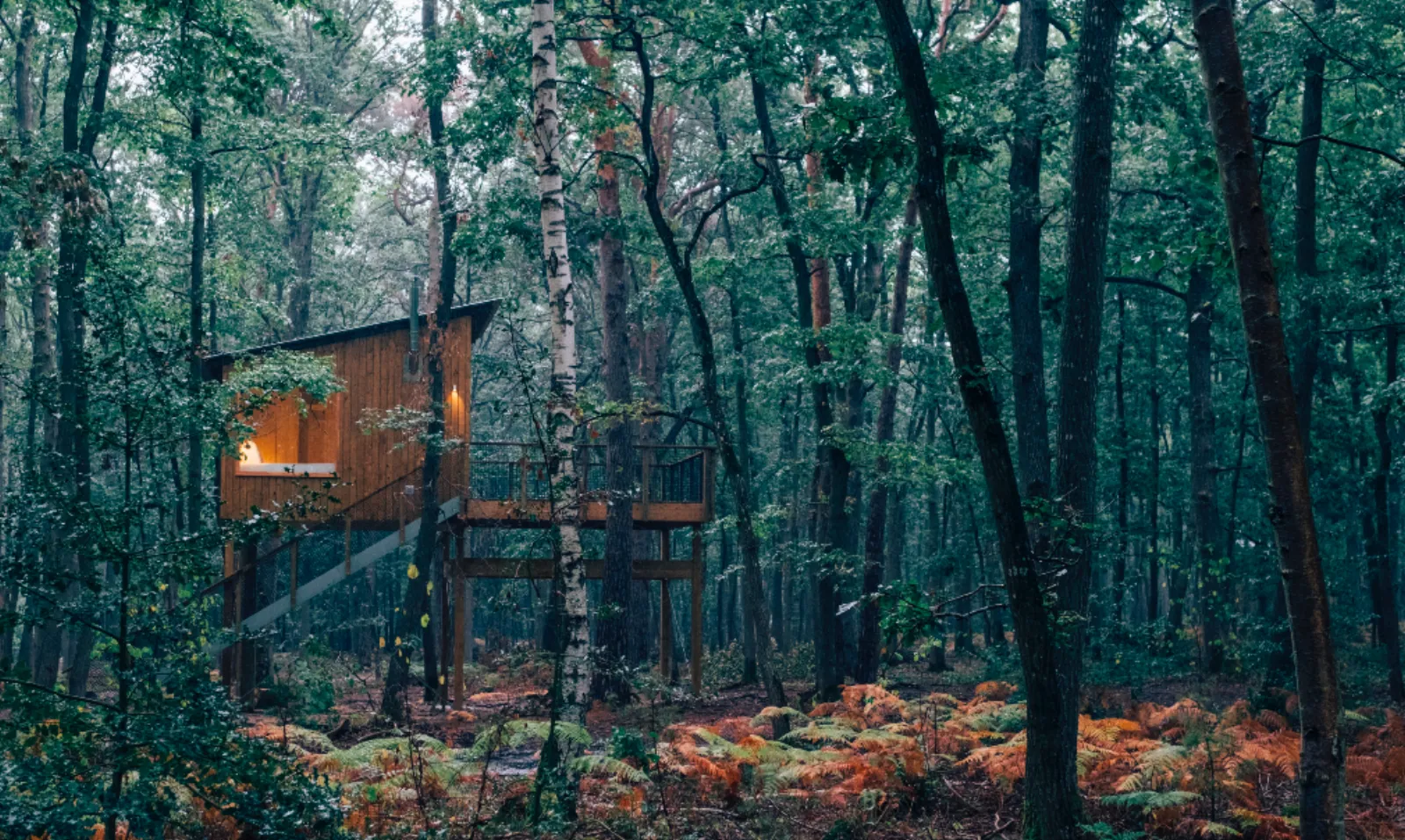Cabane Duo Terrasse Haute - Youza Ecolodge (La Couture-Boussey, Eure)