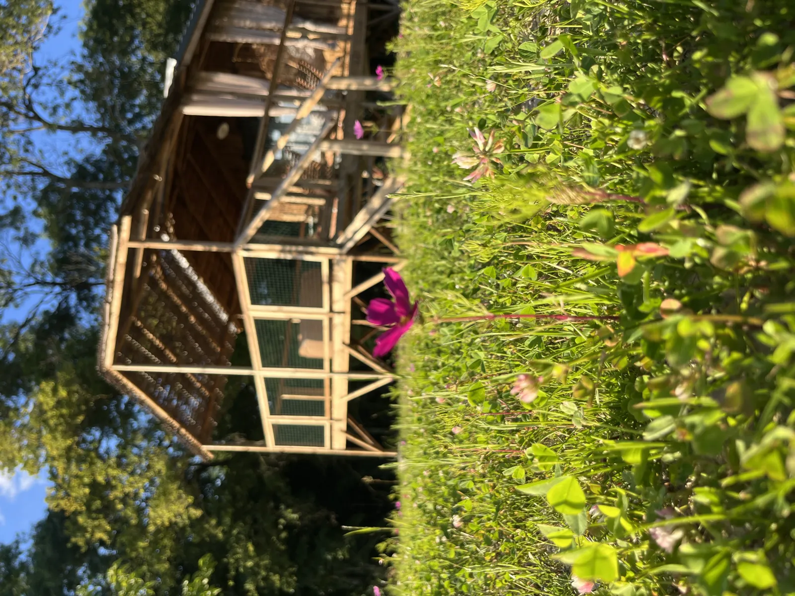 Cabane Lodge duo SPA (17 m², cabane à Chisseaux - photo 2 sur 12
