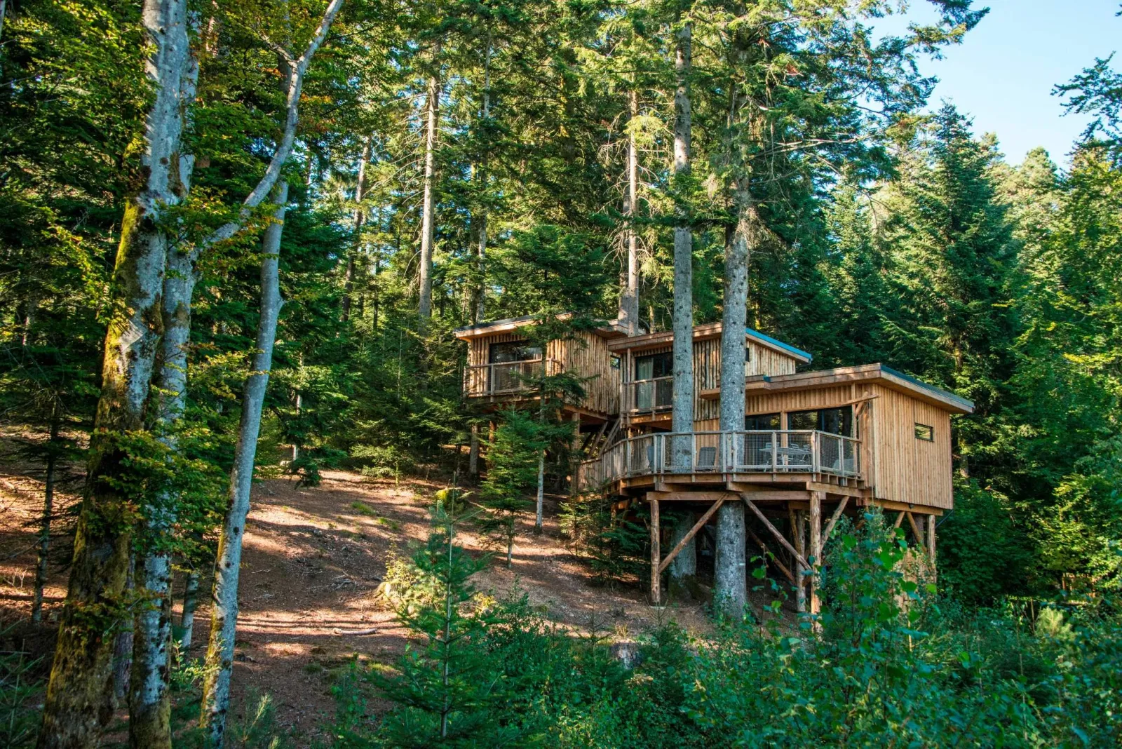 Cabane perchée Deluxe Duo - Cabane dans les arbres avec bain nordique (Champdray, Vosges)