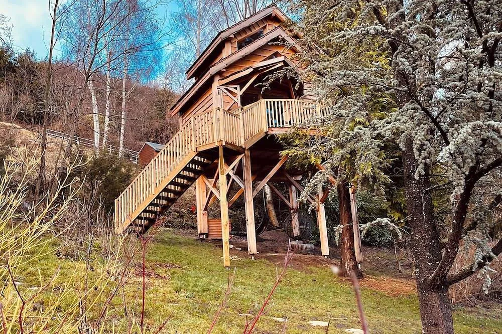 Cabane perchée du lac Chambon - jacuzzi à 24 jets face au lac (Murol, Puy-de-Dôme)