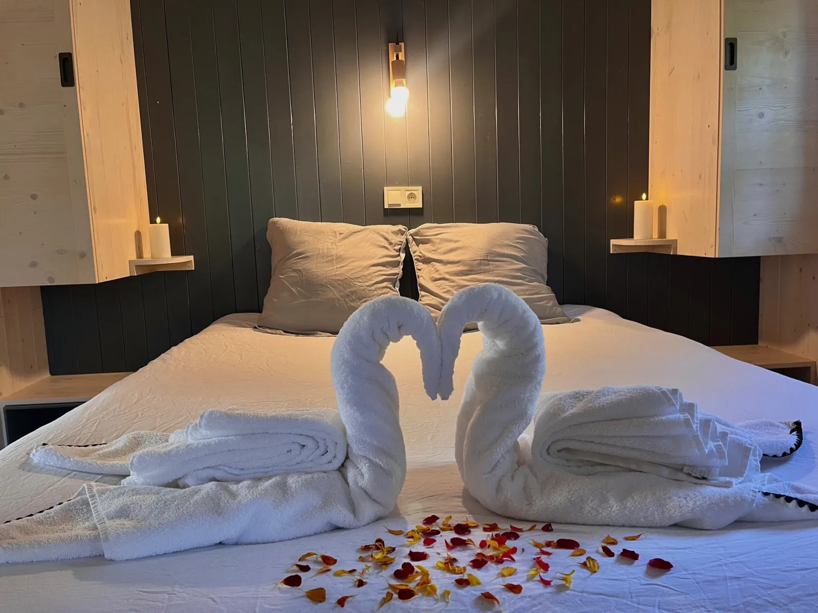 Cabane Romantique avec Jacuzzi, cabane à Saint-Astier - photo 3 sur 12