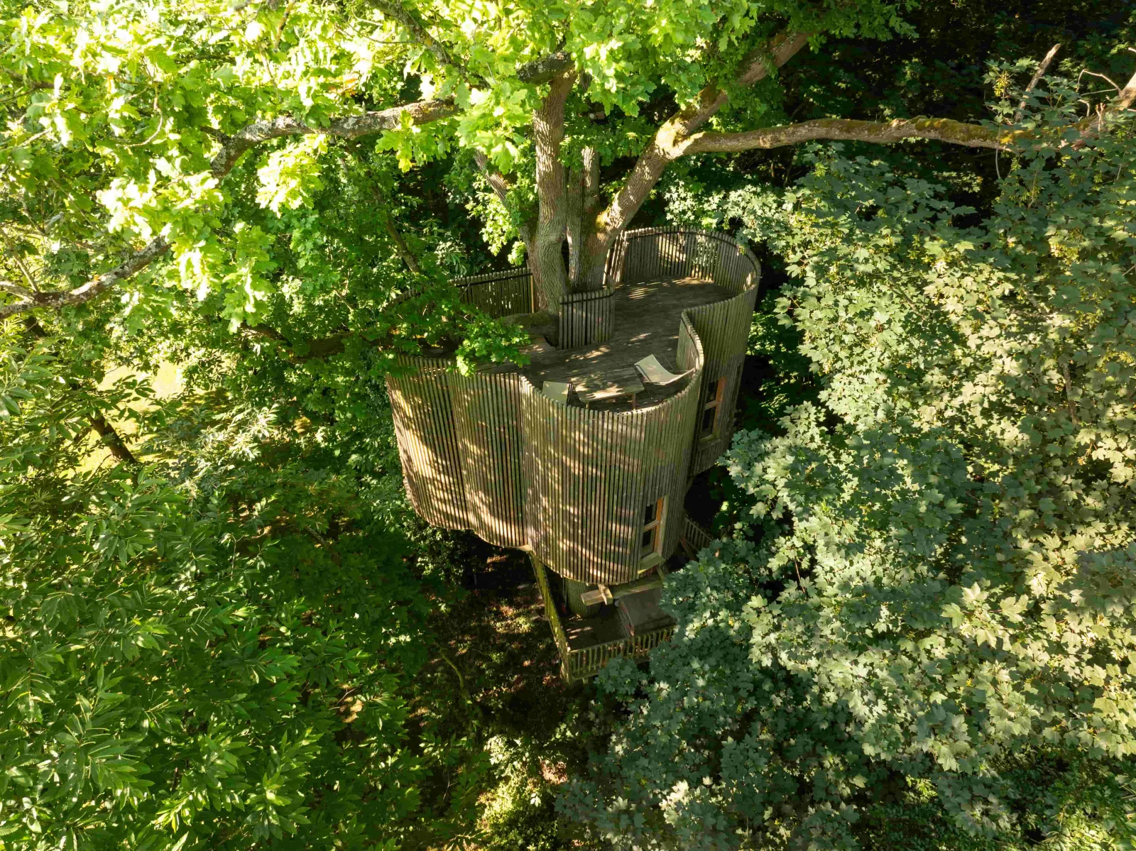 Cabanes Duo Spa dans les Arbres - Cabane perchée avec bain nordique (Raray, Oise)