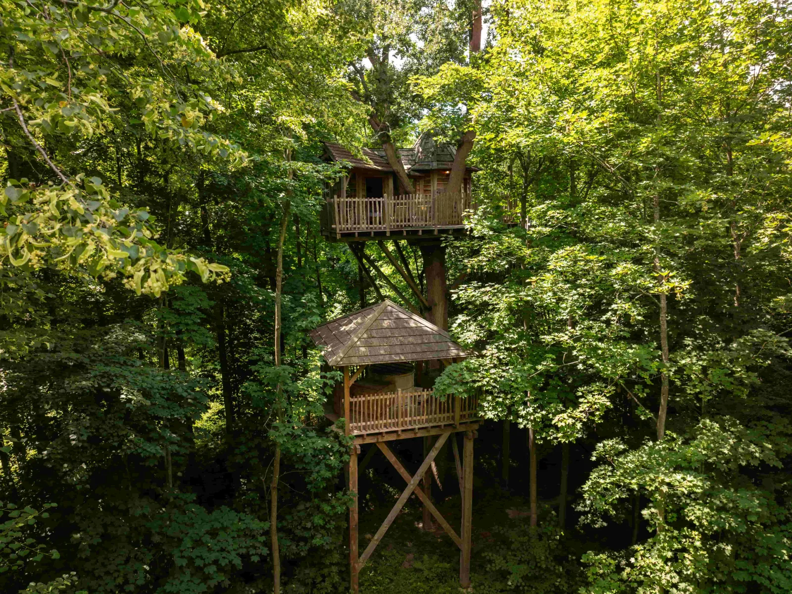 Cabanes Duo Spa dans les Arbres, cabane à Raray - photo 2 sur 12