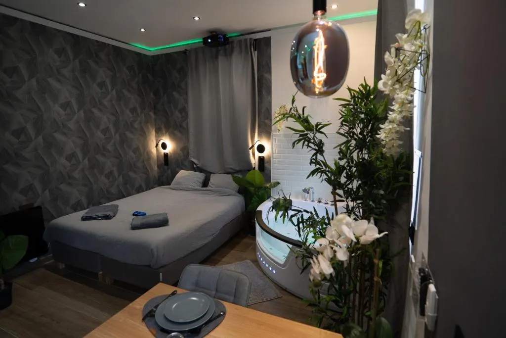 Capsule Color Deluxe, gîte avec spa à Trith-Saint-Léger - photo 2 sur 12