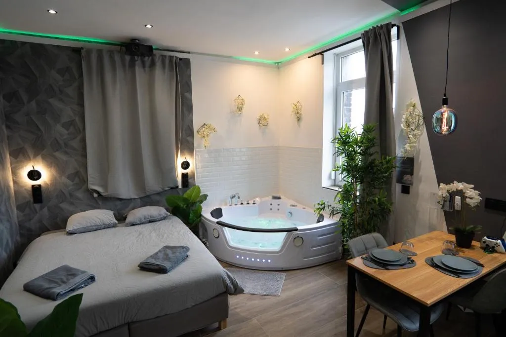 Capsule Color Deluxe, gîte avec spa à Trith-Saint-Léger - photo 3 sur 12