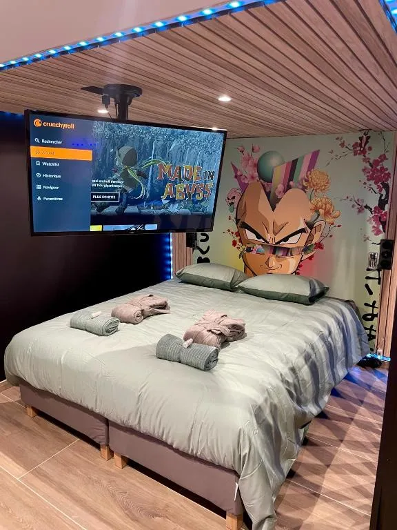 Capsule Manga, gîte avec spa à Valenciennes - photo 2 sur 12