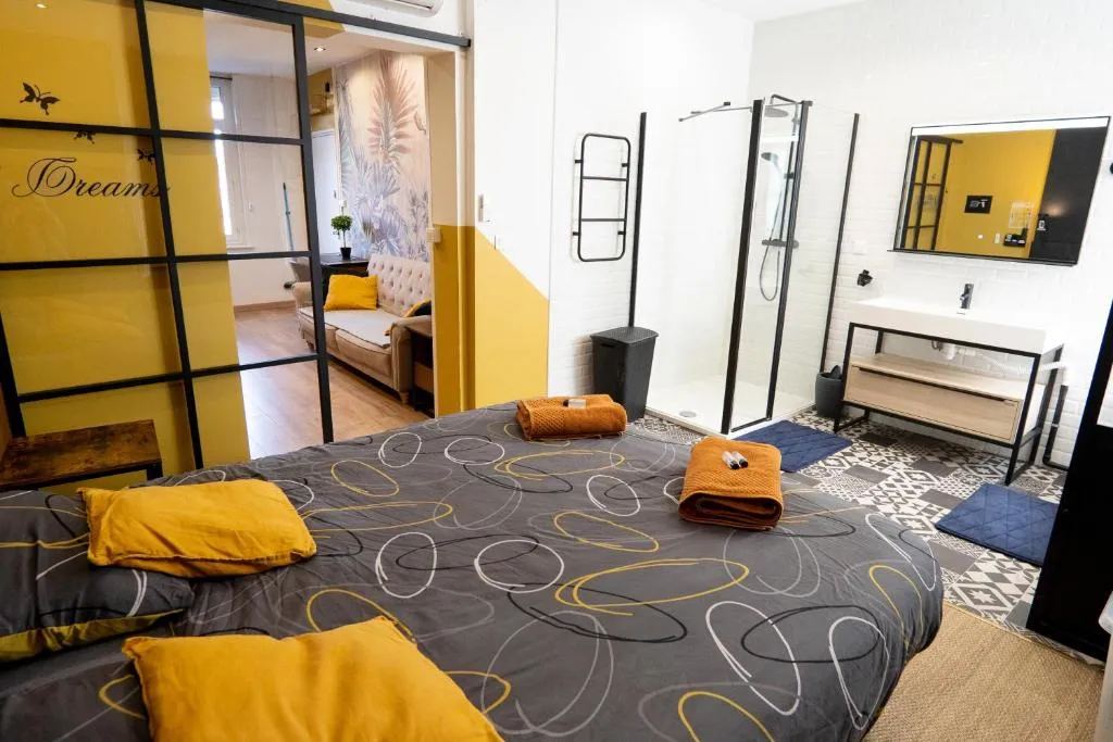 Capsule Premium Valenciennes, gîte avec spa à Valenciennes - photo 2 sur 12