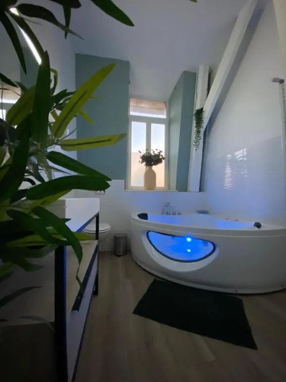 Capsule Zen billard, gîte avec spa à Roubaix - photo 3 sur 12