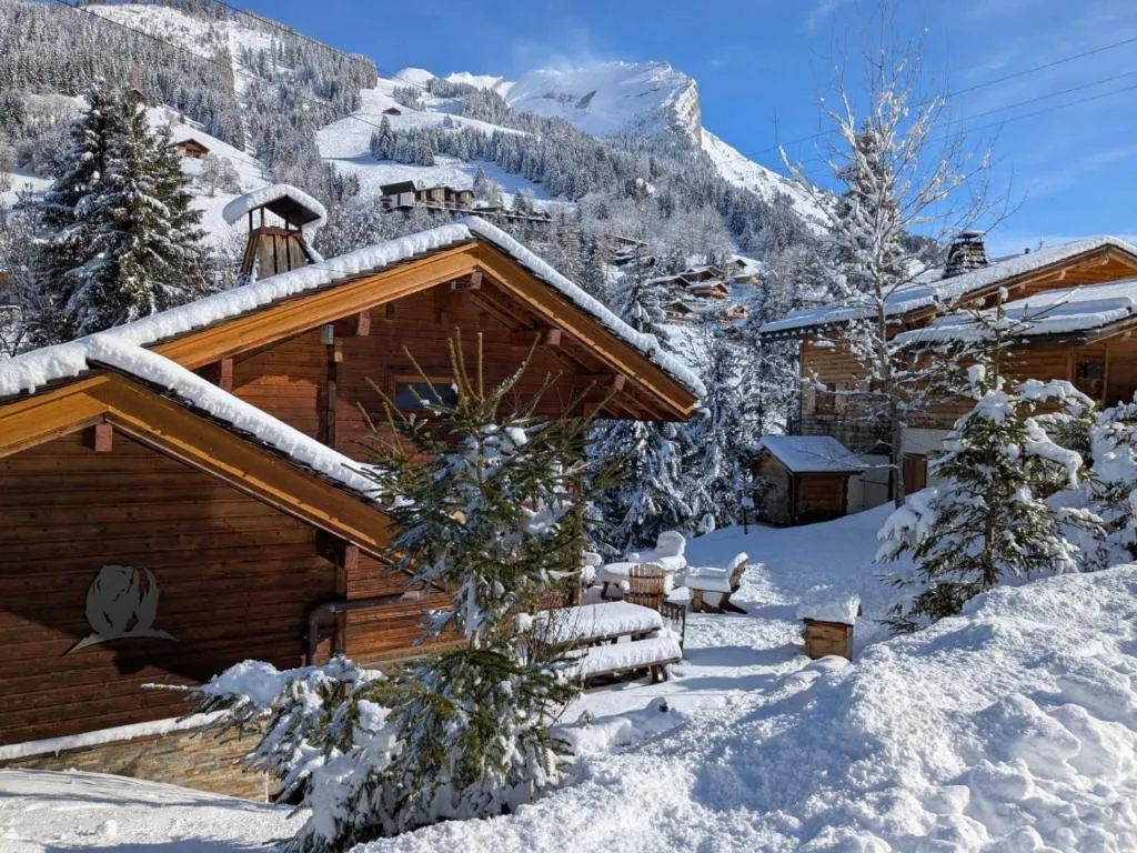 Chalet de l'Ours - chalet 4 étoiles avec sauna et spa près des pistes (La Clusaz, Haute-Savoie)