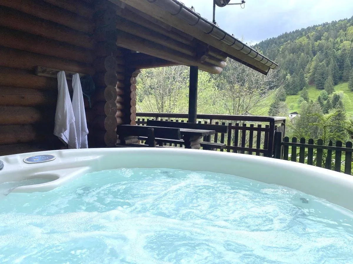 Chalet Le Grand Cerf, gîte avec spa à La Bresse - photo 3 sur 12