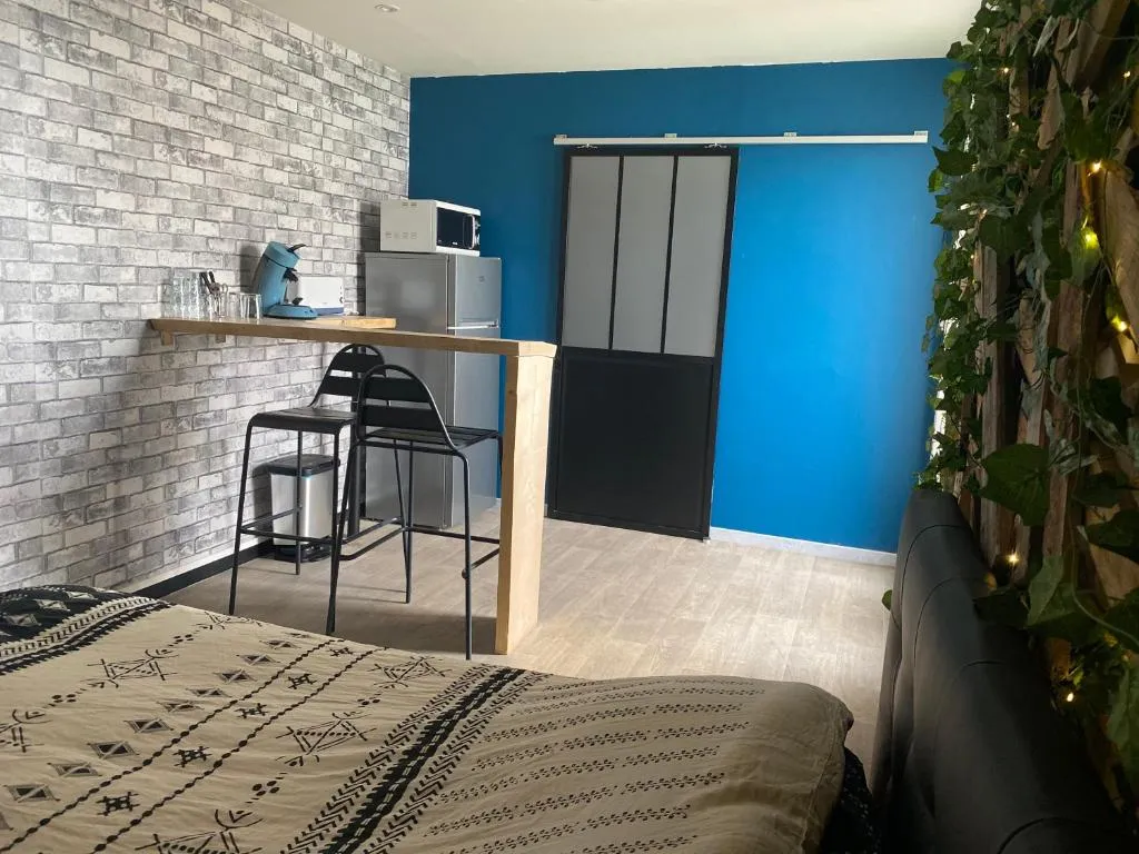 Chambre spa privatif d'Amiens - terrasse à deux pas du beffroi (Amiens, Somme)