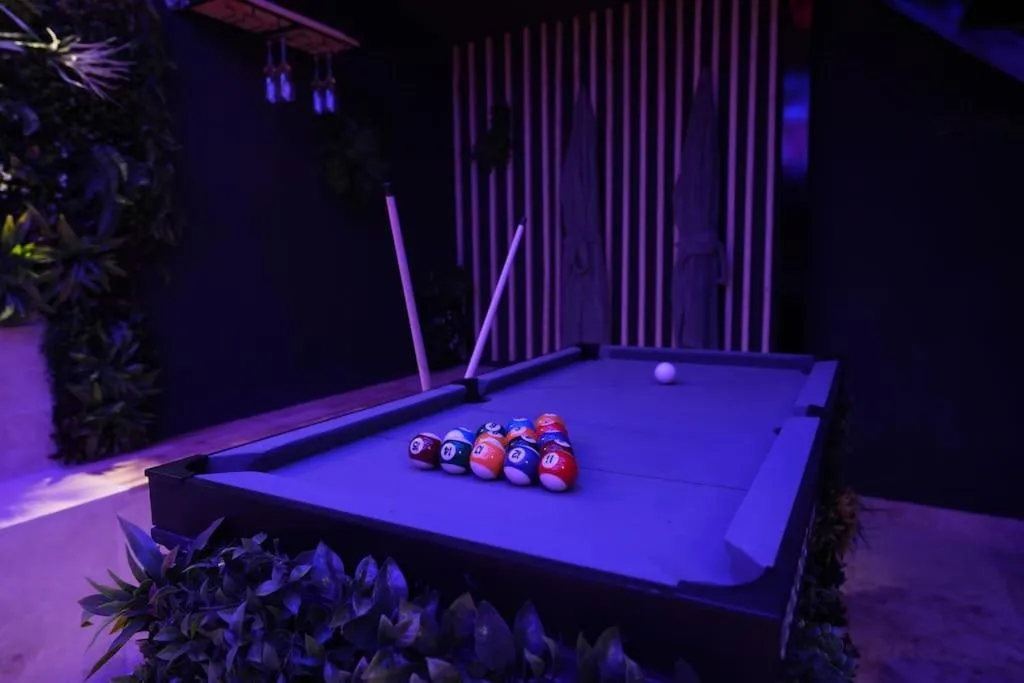 Ciné Jungle Duplex, gîte avec spa à Roanne - photo 3 sur 11