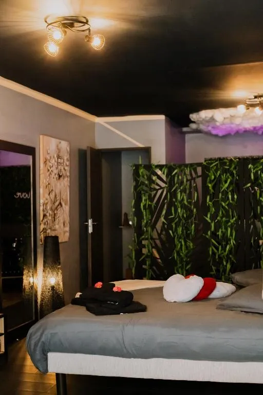 Dreamroom de Tournon, love room à Tournon-sur-Rhône - photo 2 sur 11
