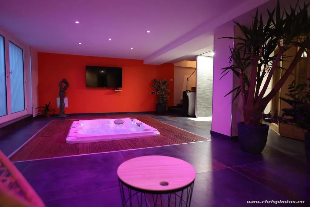Ds Plaisir Sauna et Jacuzzi - Chambre d'hôtes avec sauna, jacuzzi et hammam (Nancy, Meurthe-et-Moselle)