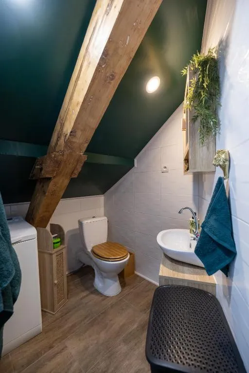 Dynasty Jungle Spa, chambre à thème à Holtzheim - photo 3 sur 12