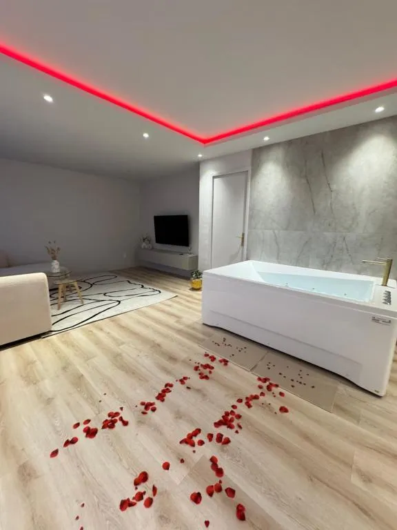 Élégant appartement spa, gîte avec spa à Mittelhausbergen - photo 3 sur 10