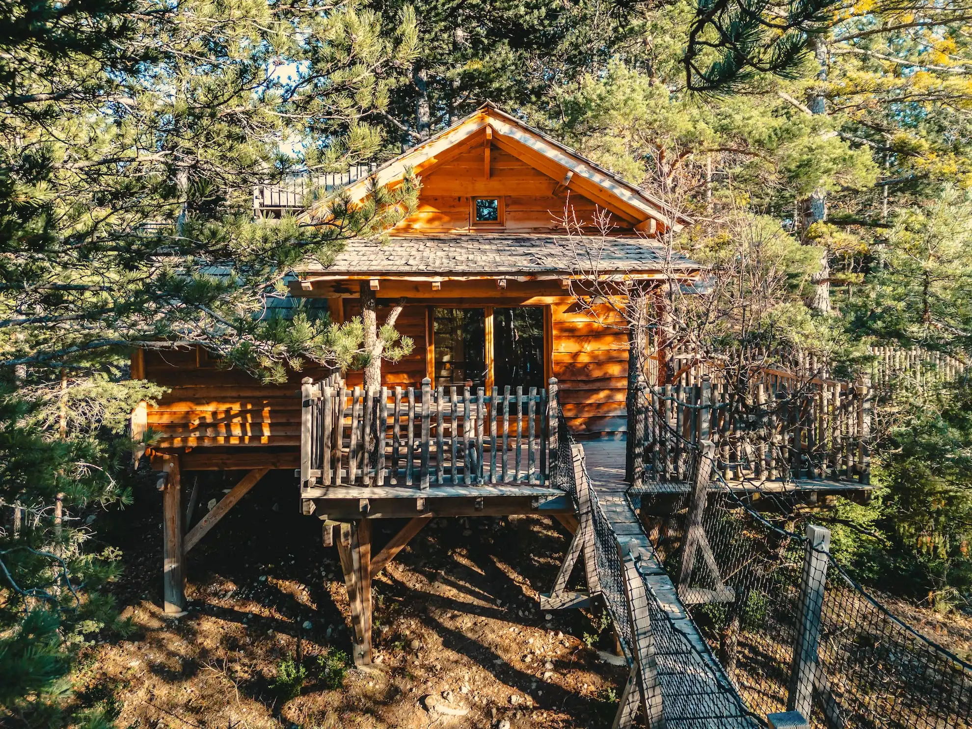 Épine Vinette, cabane à Serres - photo 2 sur 12