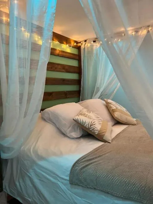 Escape Zen oasis tropicale, gîte avec spa à Loon-Plage - photo 2 sur 10