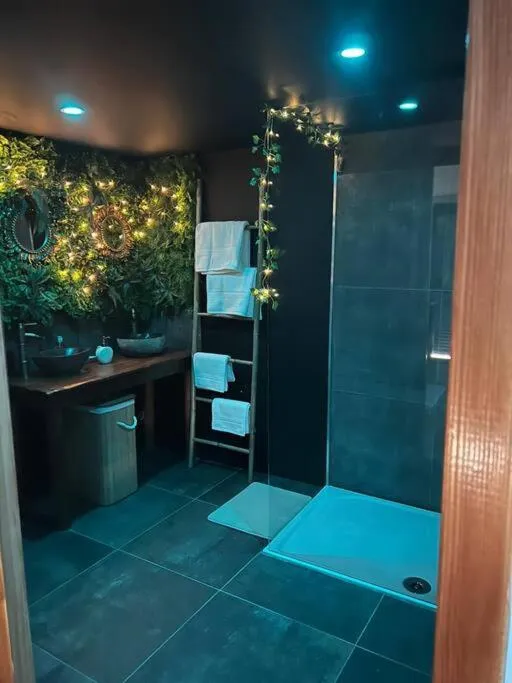 Escape Zen oasis tropicale, gîte avec spa à Loon-Plage - photo 3 sur 10