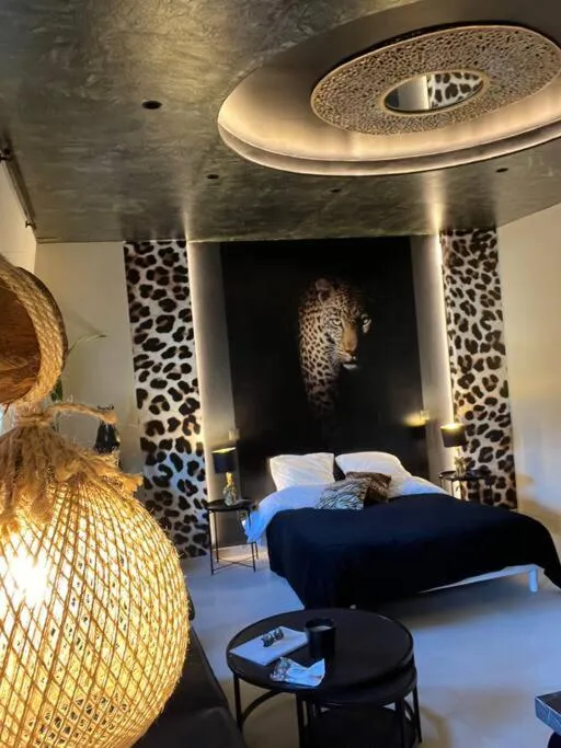 Esprit Africa, gîte avec spa à Mulhouse - photo 2 sur 12