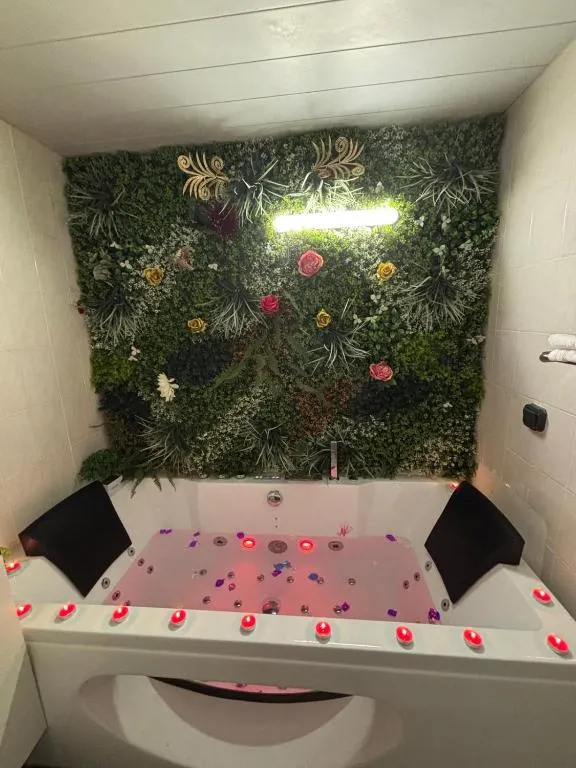 Évasion jacuzzi et luminothérapie - Appartement avec jardin près de Nantes (Carquefou, Loire-Atlantique)