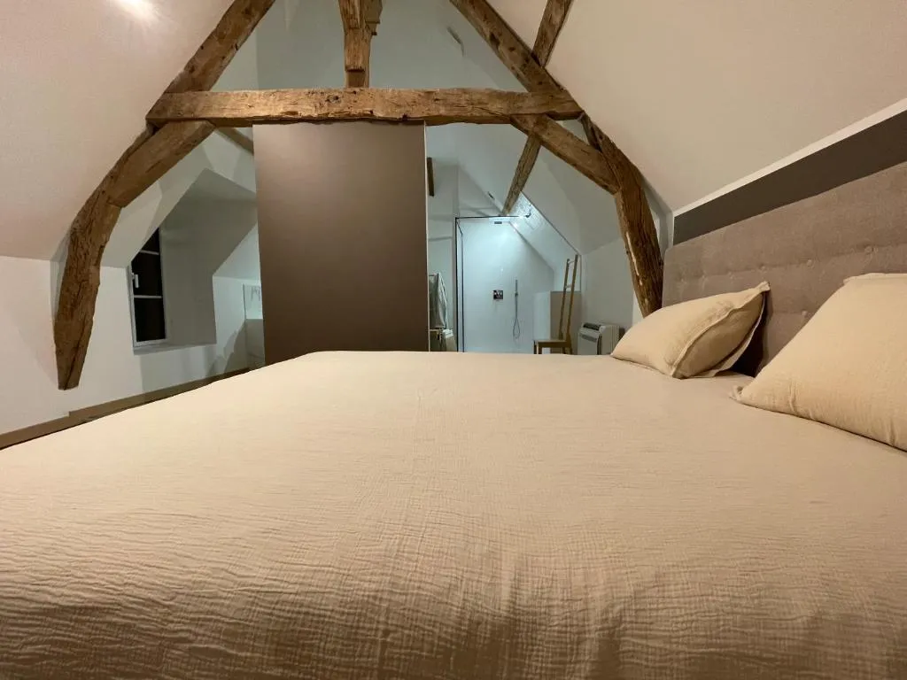 Gîte balnéo de Montizeau, gîte avec spa à Lailly-en-Val - photo 2 sur 12