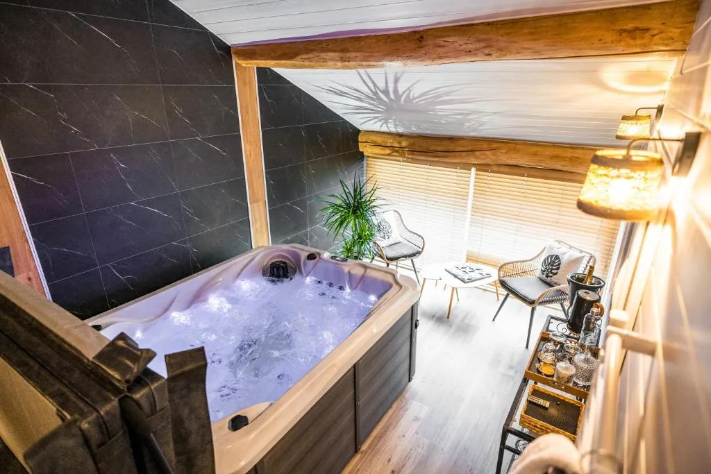Gîte des Charmes du Lac - Jacuzzi privatif et jardin près du Futuroscope (Beaumont Saint-Cyr, Vienne)