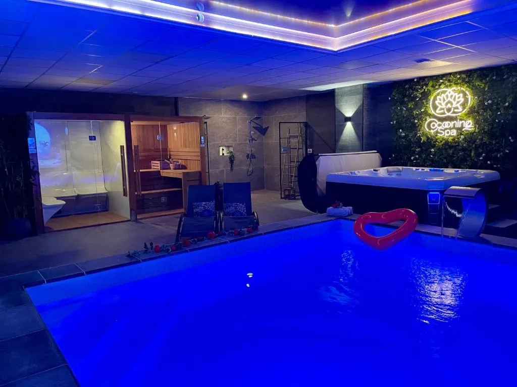 Gîte Piscine, Sauna et Bain à Remous, gîte avec spa à Marck - photo 3 sur 12
