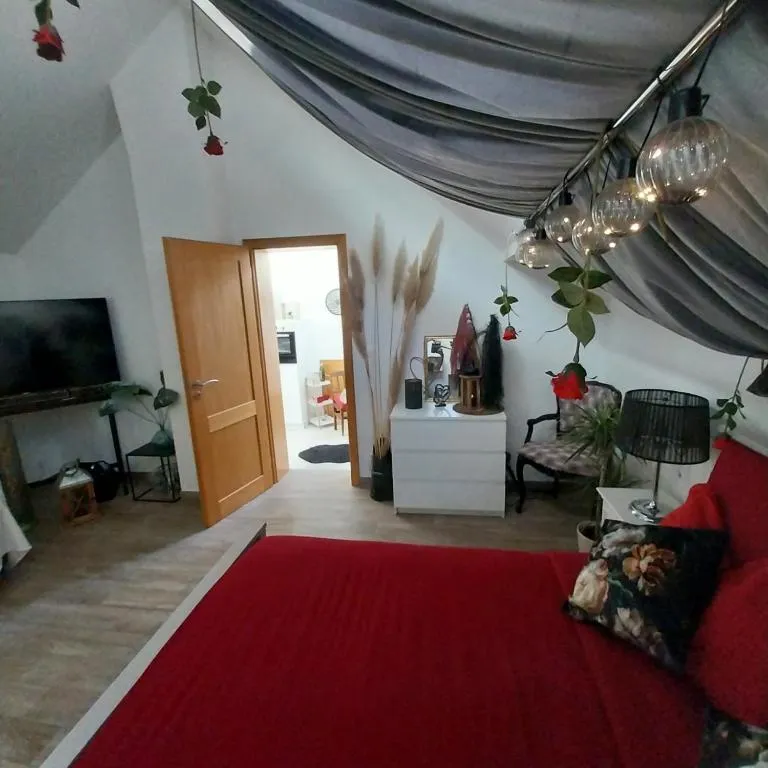 Gîte spa de Drulingen, gîte avec spa à Drulingen - photo 3 sur 12