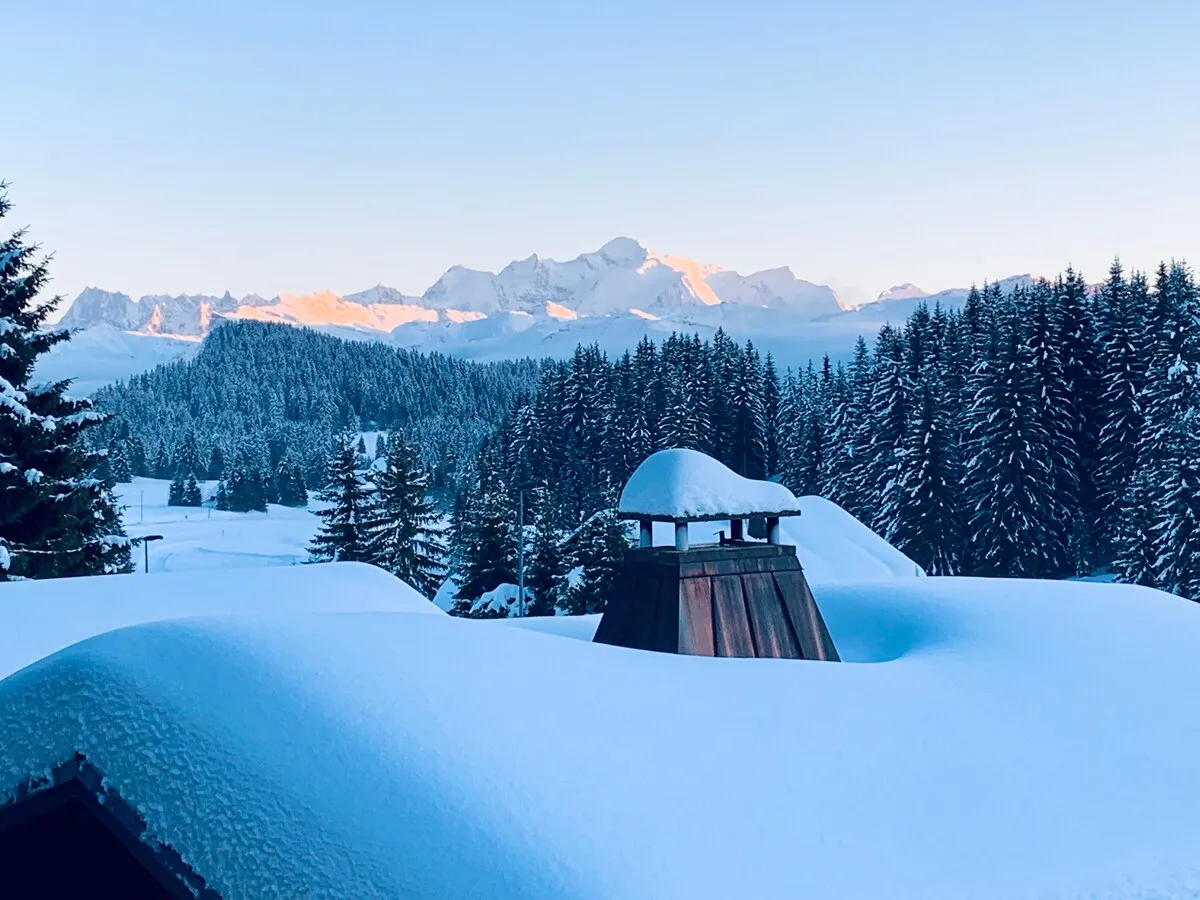 Grand Chalet du Praz-de-Lys, gîte avec spa à Taninges - photo 2 sur 8