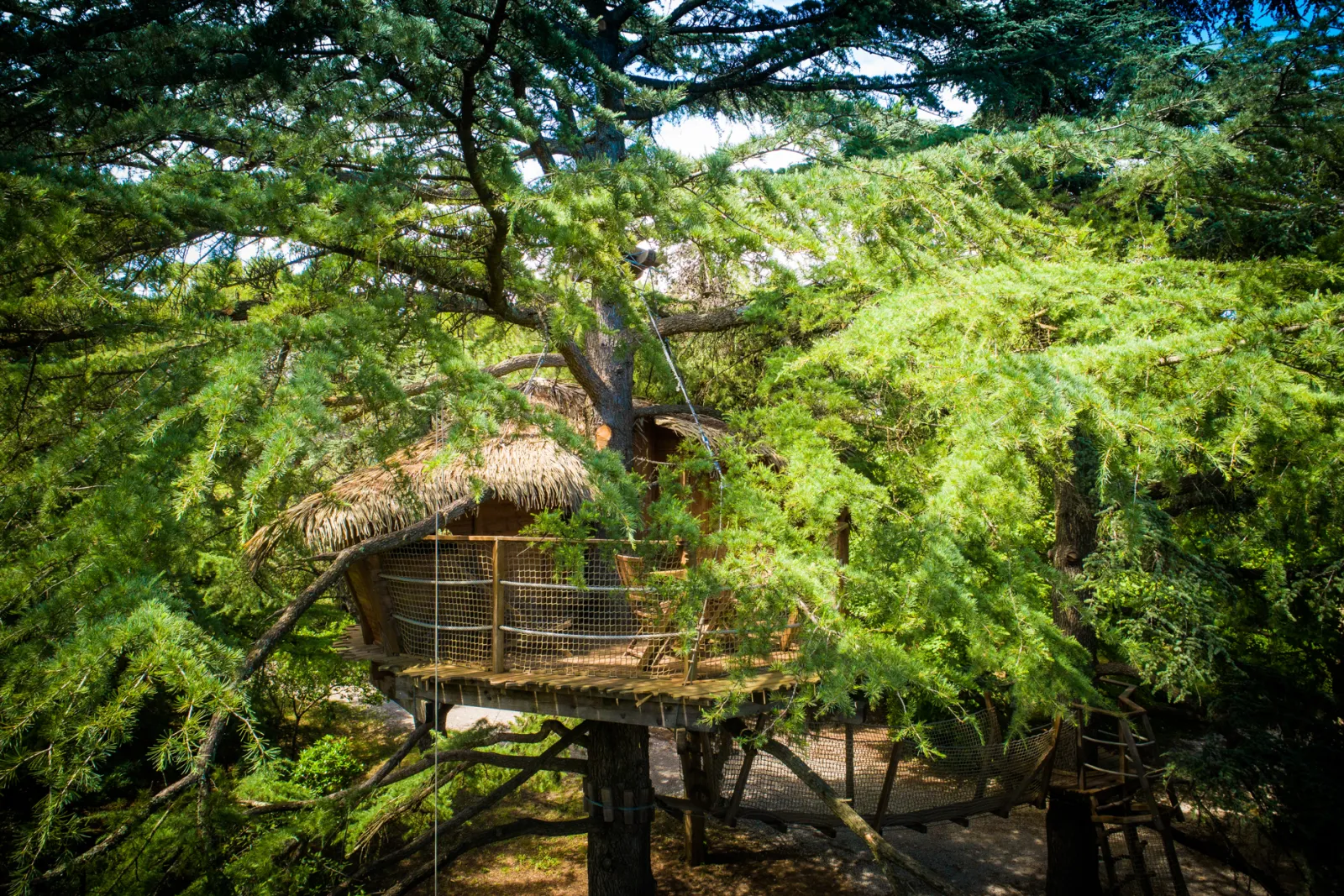 Grand duc & spa privatif - Domaine St-Jean de l'Arbousier (Castries, Hérault)