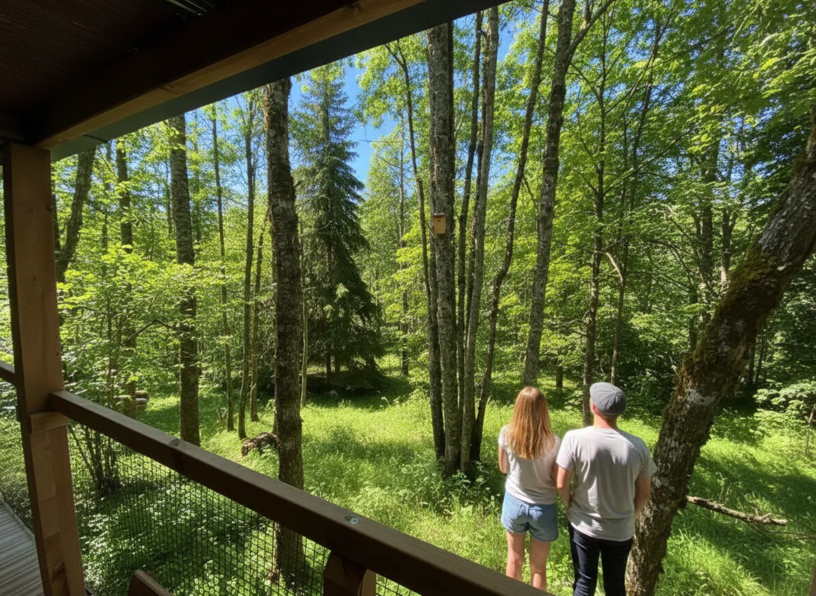 HY Lodge Spa N°3, gîte spa à Anould - photo 3 sur 12
