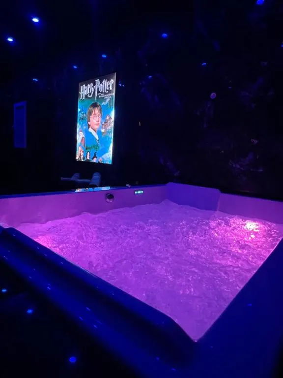 Cinéma et Jacuzzi, gîte avec spa à Vienne - photo 3 sur 11