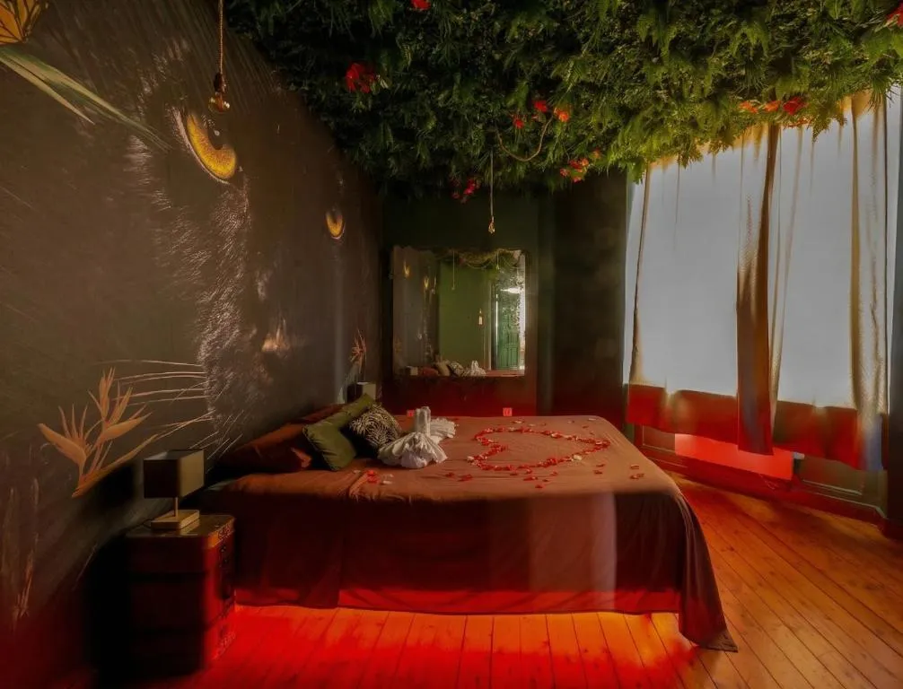 Jungle Balnéo et Massage, gîte avec spa à Belfort - photo 2 sur 12