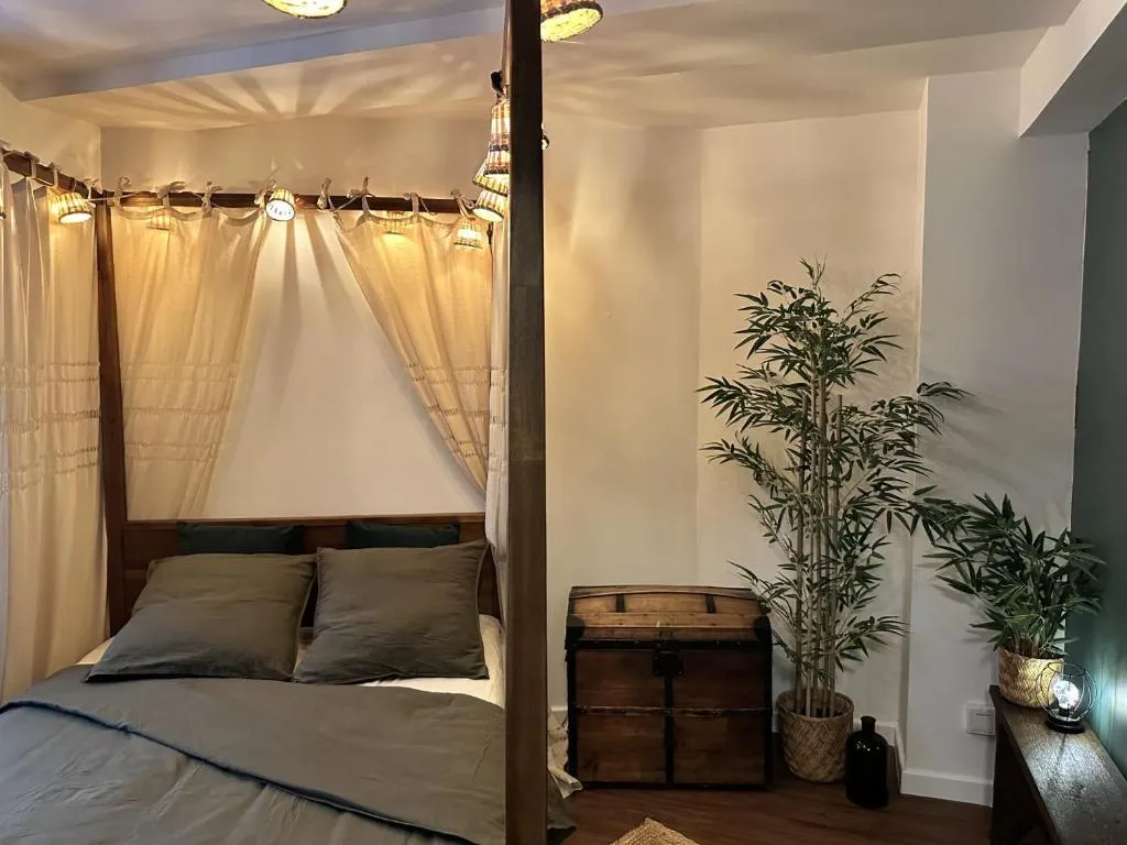 Jungle Fever Balnéo, chambre à thème à Boulogne-sur-Mer - photo 2 sur 12