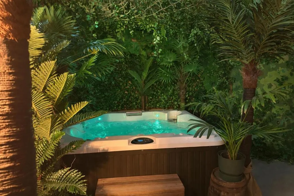 Jungle Room Anatole France, gîte avec spa à Bordeaux - photo 3 sur 9