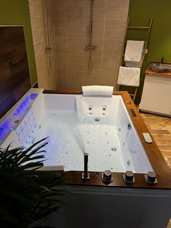 Jungle Room Spa, gîte avec spa à Sotteville-lès-Rouen - photo 3 sur 12