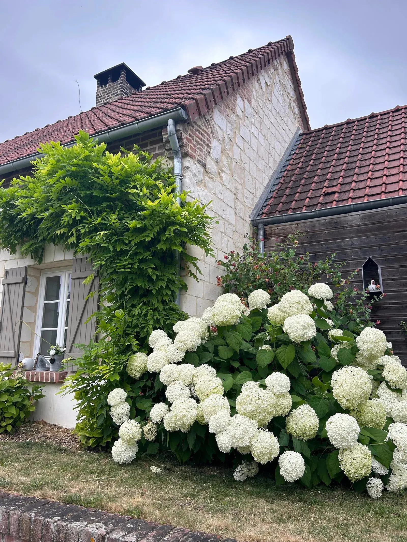 L'abreuvoir de Rivière, gîte spa à Bettencourt-Rivière - photo 3 sur 12