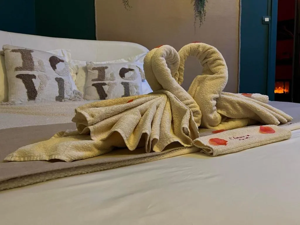 L'Amour en Brenne, gîte avec spa à Le Blanc - photo 3 sur 11