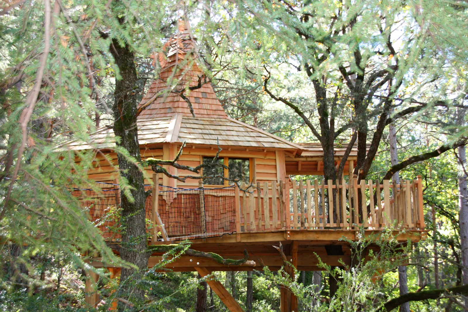 L'Aristoloche & Spa - Cabane perchée avec spa et sauna privatifs (Serres, Hautes-Alpes)