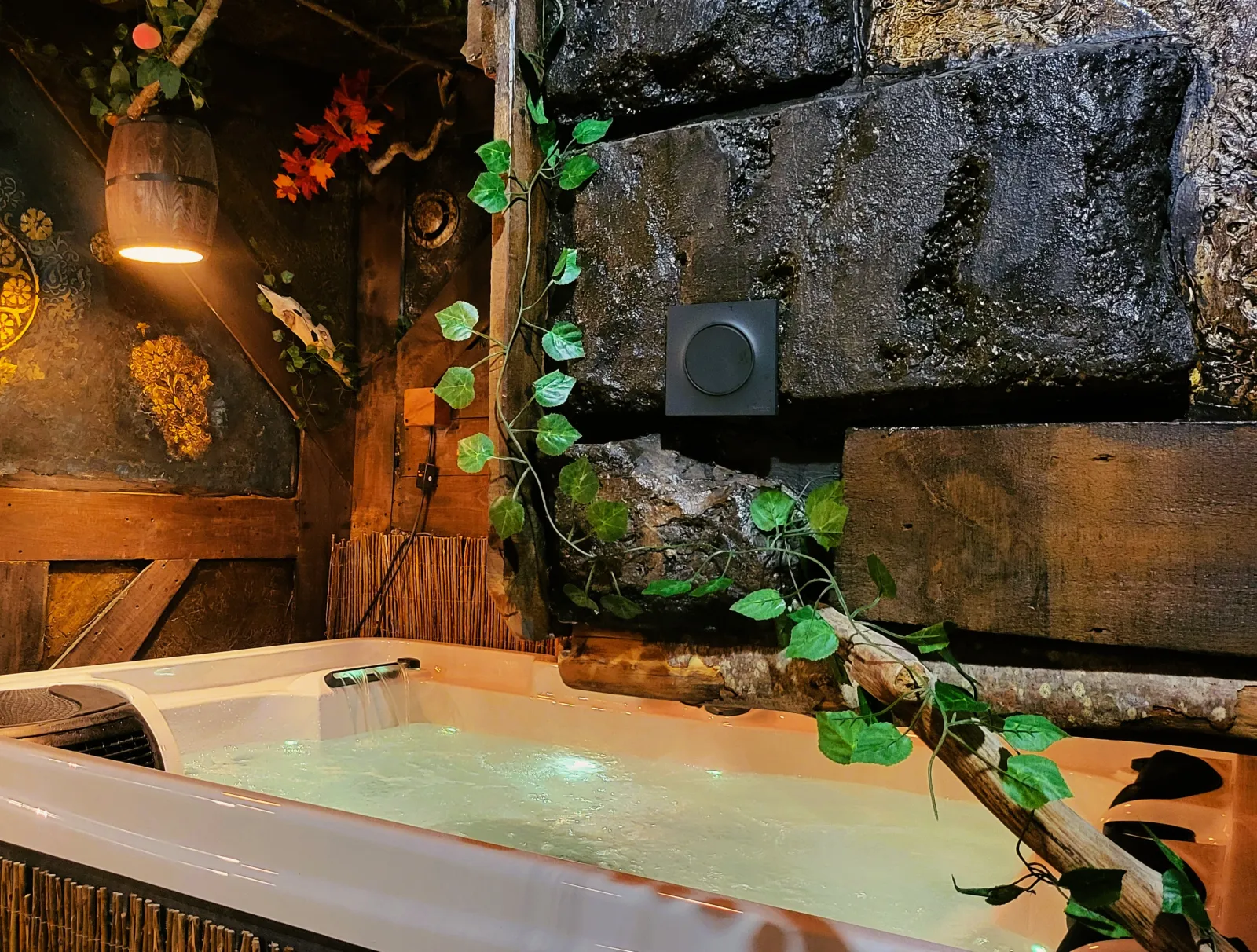 L'auberge du Trône & Spa, chambre à thème à Saint-Étienne - photo 3 sur 12