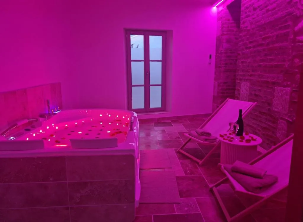 L'Audacieuse jacuzzi et sauna, gîte avec spa à Veuzain-sur-Loire - photo 2 sur 12