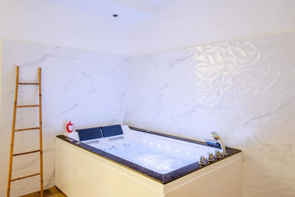 L'Eden Spa, gîte avec spa à Saint-Étienne - photo 3 sur 11